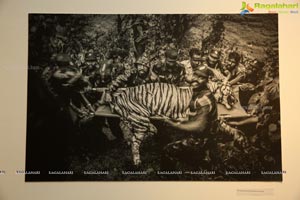 Indian Photo Festival at State Art Gallery