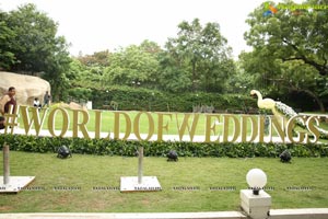 Intercontinental World of Weddings