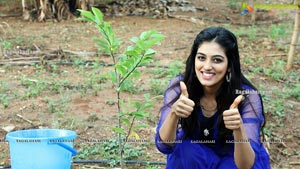 Cherasala Movie Team Tree Plantation pics