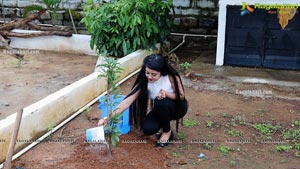 Cherasala Movie Team Tree Plantation pics