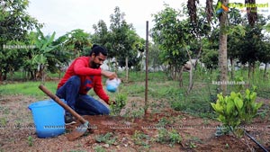 Cherasala Movie Team Tree Plantation pics