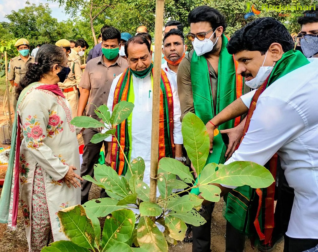 Prabhas Adopts 1650 Acres of Forest Land