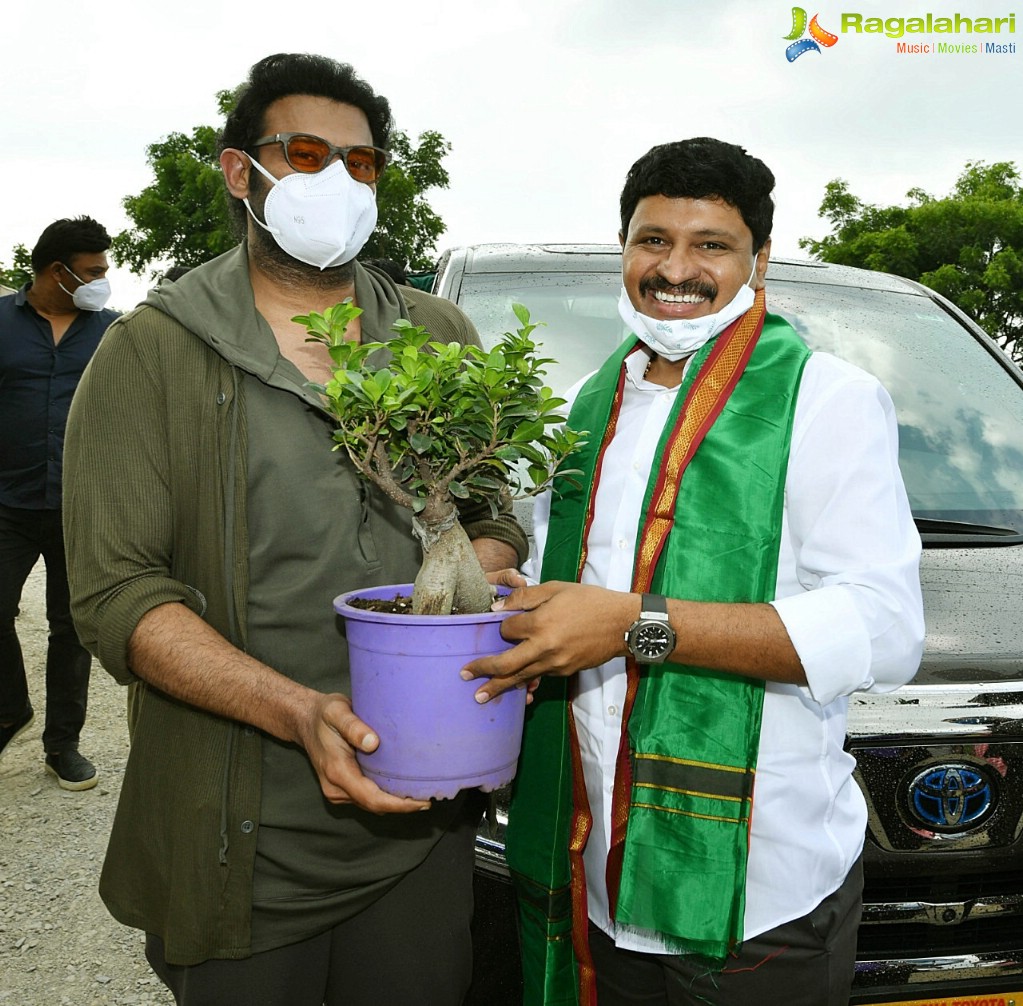 Prabhas Adopts 1650 Acres of Forest Land