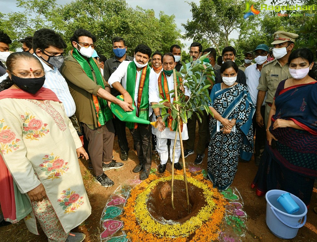 Prabhas Adopts 1650 Acres of Forest Land