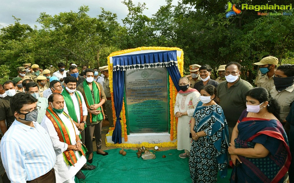 Prabhas Adopts 1650 Acres of Forest Land