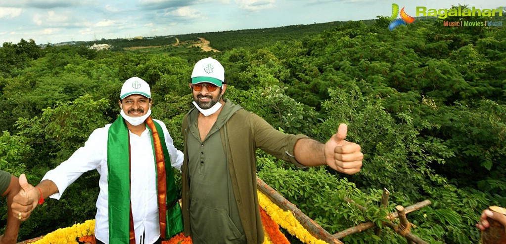 Prabhas Adopts 1650 Acres of Forest Land