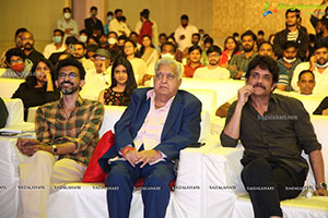 Love Story Magical Success Meet