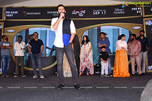 Nithiin's Maestro Movie Pre-Release Event