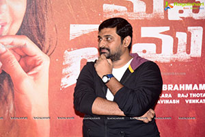 Maha Samudram Movie Trailer Launch