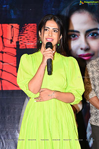 NET Zee5 Originals Film Press Meet