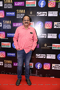 SIIMA 2021 Day 2 - A Superstars Studded Grand Event