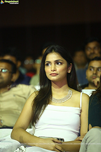 Krishna Vrinda Vihari Pre-Release Event