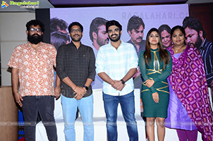 Nenu Meeku Baga Kavalsinavadini Trailer Launch