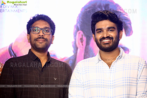 Nenu Meeku Baga Kavalsinavadini Trailer Launch