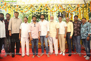 Gopichand and Sreenu Vaitla's Movie Opening Pooja Ceremony