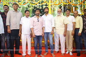 Gopichand and Sreenu Vaitla's Movie Opening Pooja Ceremony