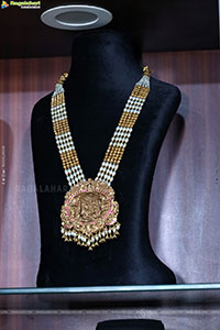 Hi Life Jewels Exhibition Grand Launch Event, Hyderabad