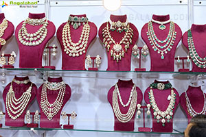 Hi Life Jewels Exhibition Grand Launch Event, Hyderabad