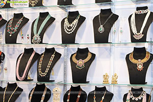Hi Life Exhibition: An Exclusive Lifestyle & Fashion Special