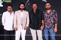 The Paradise Movie Grand Success Meet