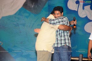 Brindavanam Audio Release