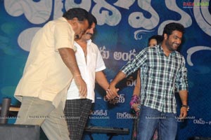 Brindavanam Audio Release