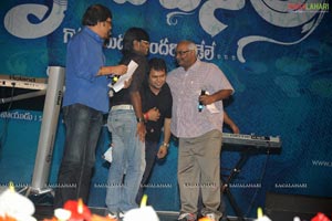 Brindavanam Audio Release