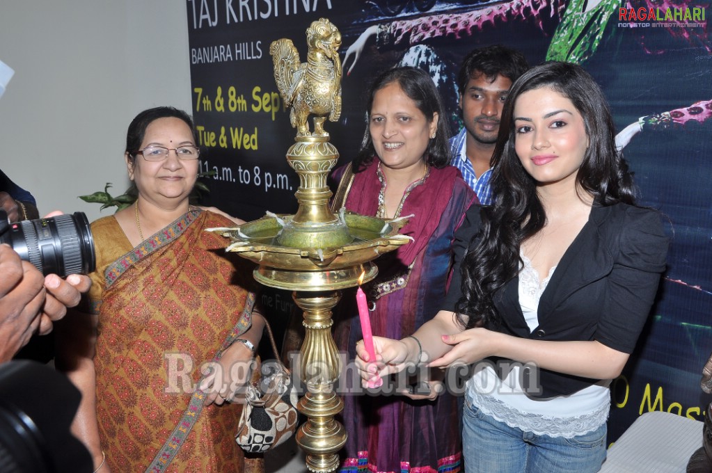 D'sire Exhibition/Sale Launch @ Taj Krishna