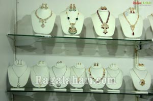 Jewellery Exhibition at Taj Krishna