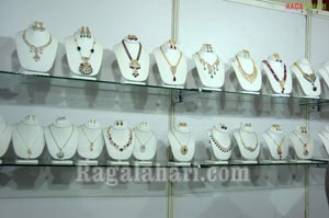 Jewellery Exhibition at Taj Krishna