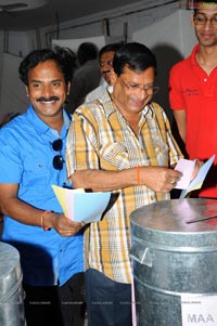 Movie Artists Association 2010 Elections