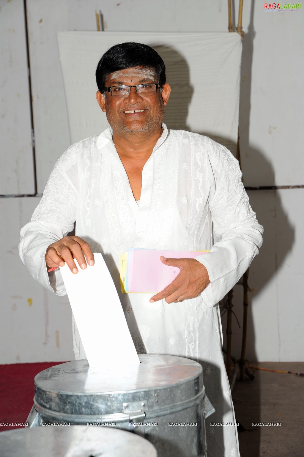 MAA Elections 2010