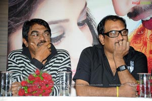 Saradaga Kasepu Success Meet