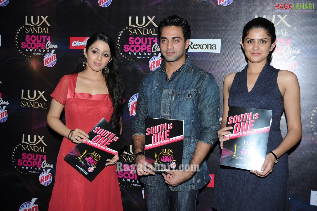 Southscope Awards 2010 Brochure Launch