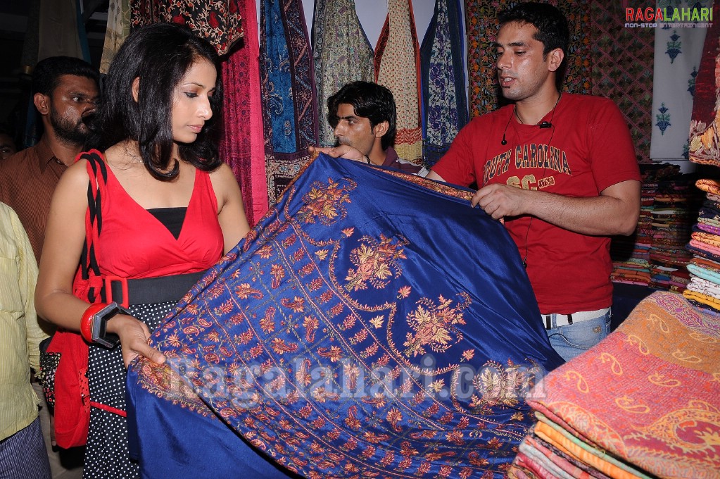 Vidya Rao Launches India Silks & Cotton Exhibition/Sale