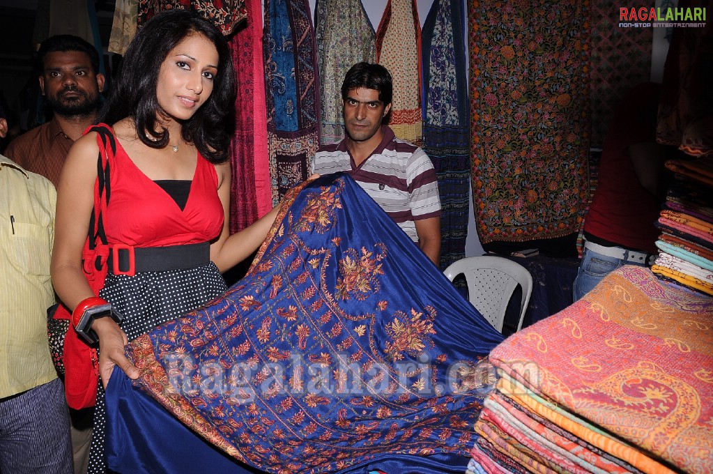 Vidya Rao Launches India Silks & Cotton Exhibition/Sale