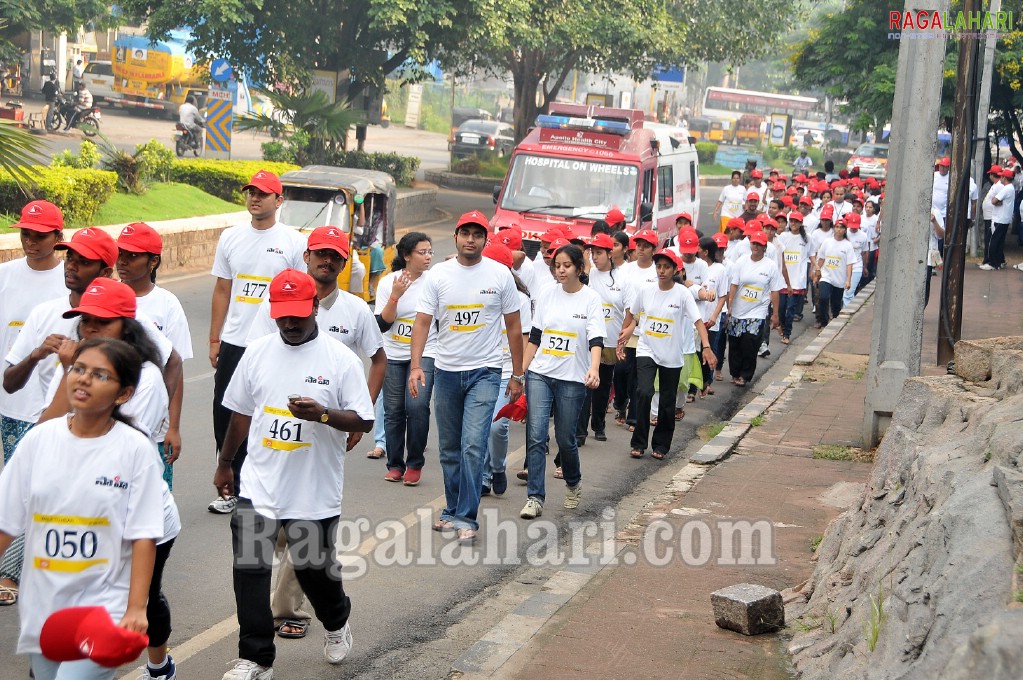 Walk to Hear at KBR Park