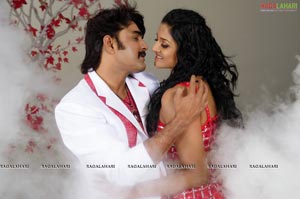 Srikanth, Vimala Raman