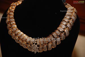 Art Karat  Jewellery Exhibition at Taj Deccan, Hyd