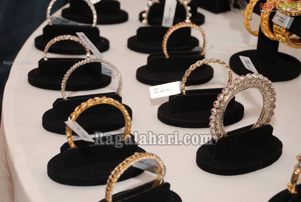 Art Karat Jewellery Exhibition at Taj Deccan