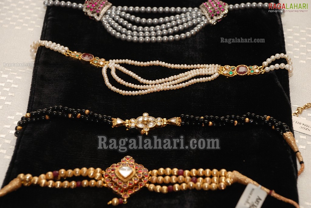 Art Karat Jewellery Exhibition at Taj Deccan