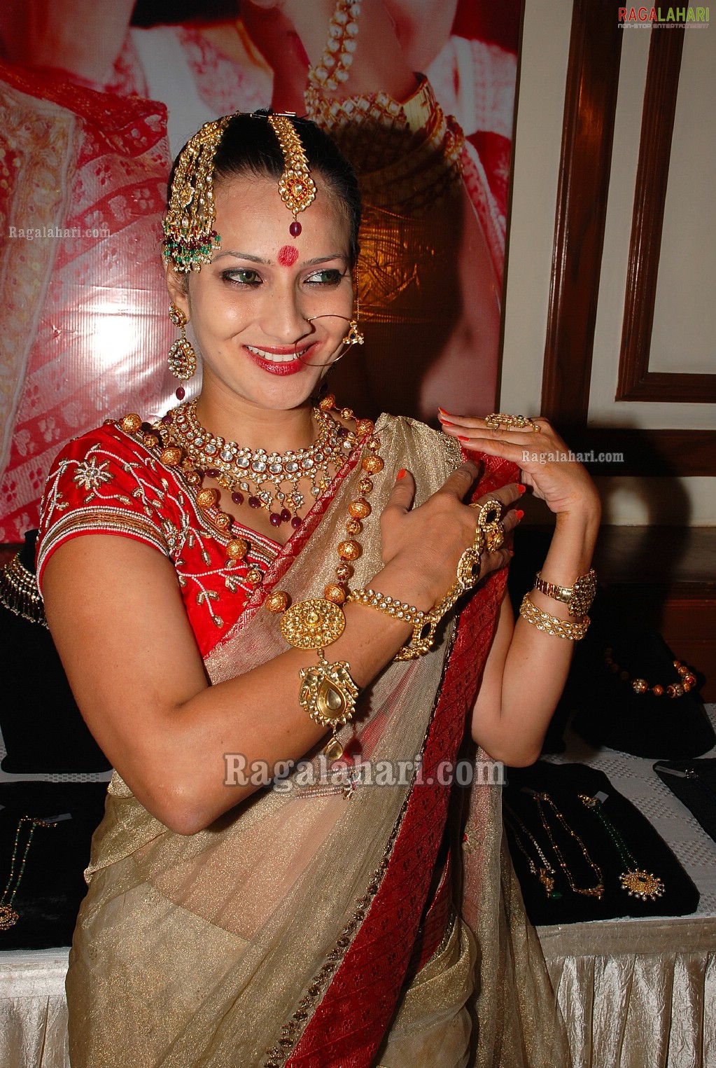 Art Karat Jewellery Exhibition at Taj Deccan