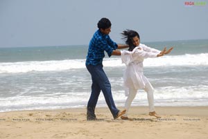 Navadeep, Rahul, Srinivas, Sradha Das, Soumya, Sanjana