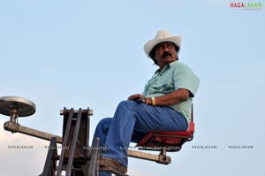 Mr. Rascal Working Stills