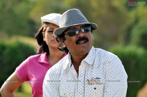 Mr. Rascal Working Stills