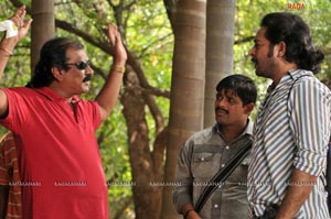 Mr. Rascal Working Stills