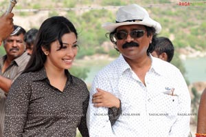 Mr. Rascal Working Stills