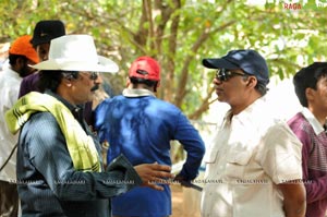 Mr. Rascal Working Stills