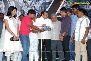 6 Audio Release Function