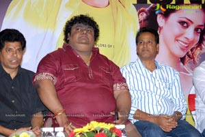 Srimannarayana Success Meet Function